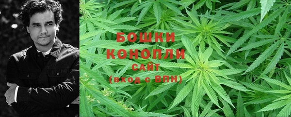 PSILOCYBIN Заводоуковск