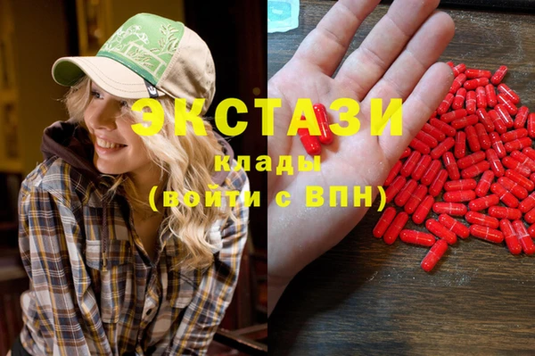 PSILOCYBIN Заводоуковск
