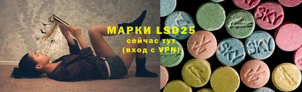 PSILOCYBIN Заводоуковск