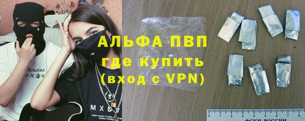 PSILOCYBIN Заводоуковск