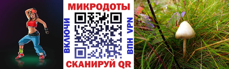Псилоцибиновые грибы прущие грибы  Домодедово 